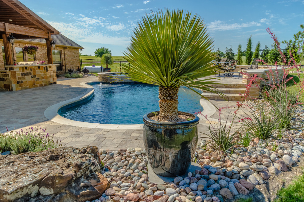 Example of a transitional pool design in Dallas