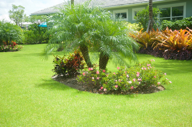 Tropical Full Yard Landscape in Naples FL - Tropical - Garden - Miami