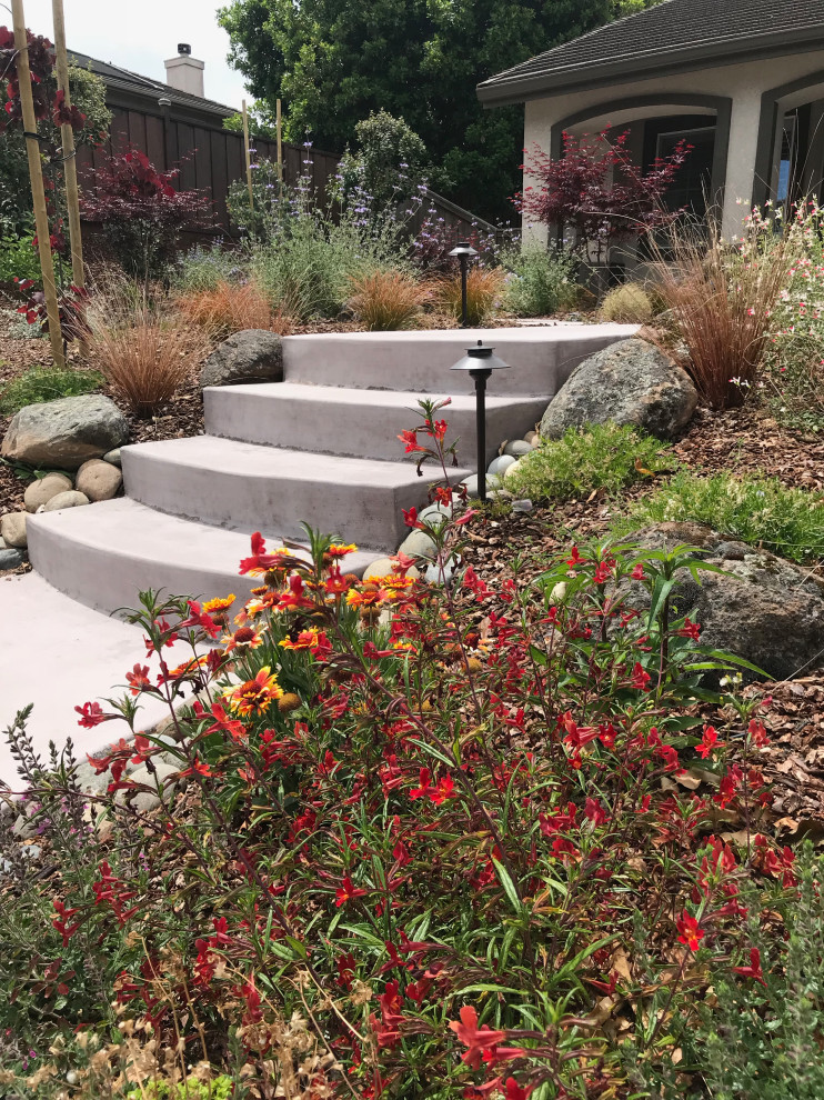 Benicia Low-maintenance front yard