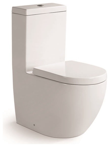 Aqua One-Piece Dual Flush Square Toilet w/ Soft Closing Seat