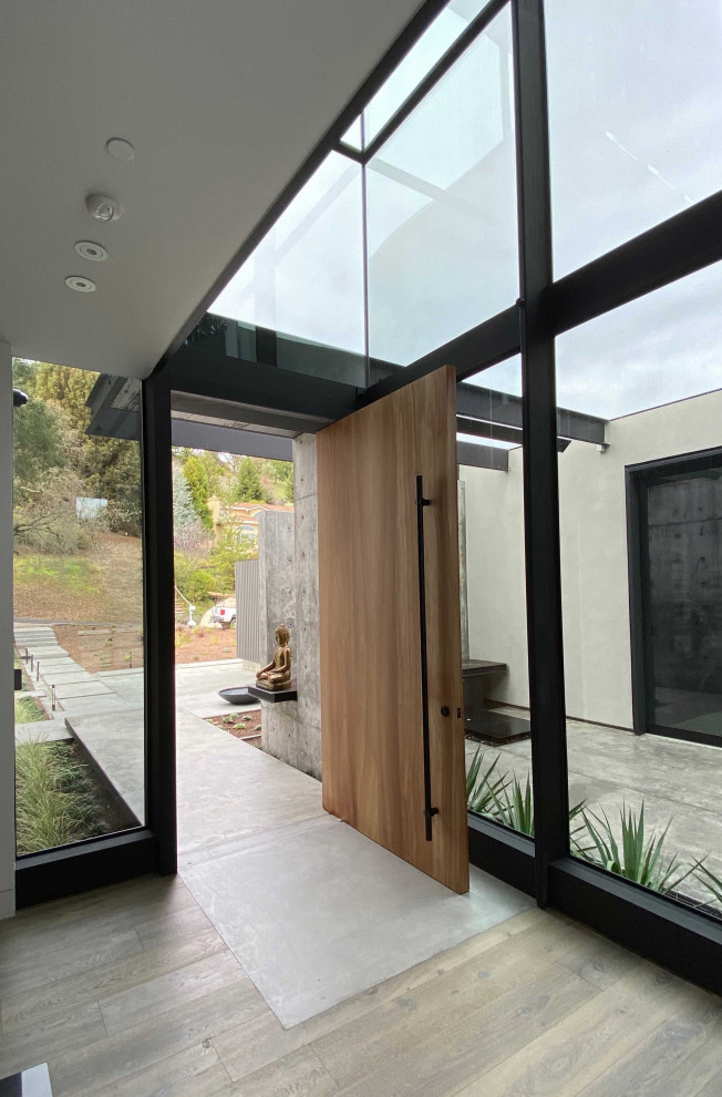 Mid-sized contemporary foyer in San Francisco with white walls, light hardwood floors, a pivot front door, a medium wood front door and grey floor.