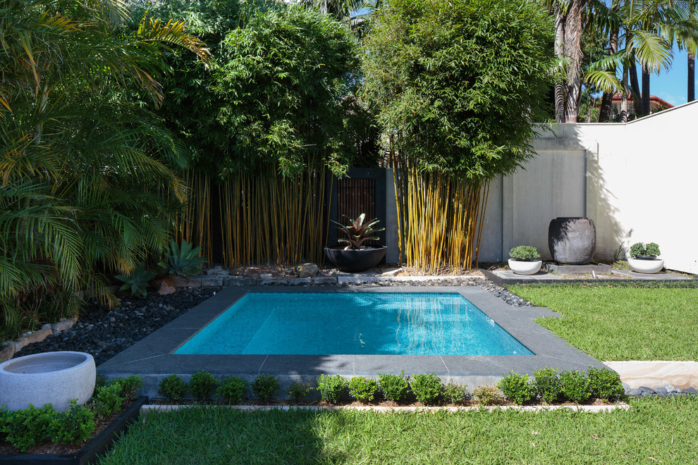 Small modern backyard rectangular pool in Sydney with concrete pavers.