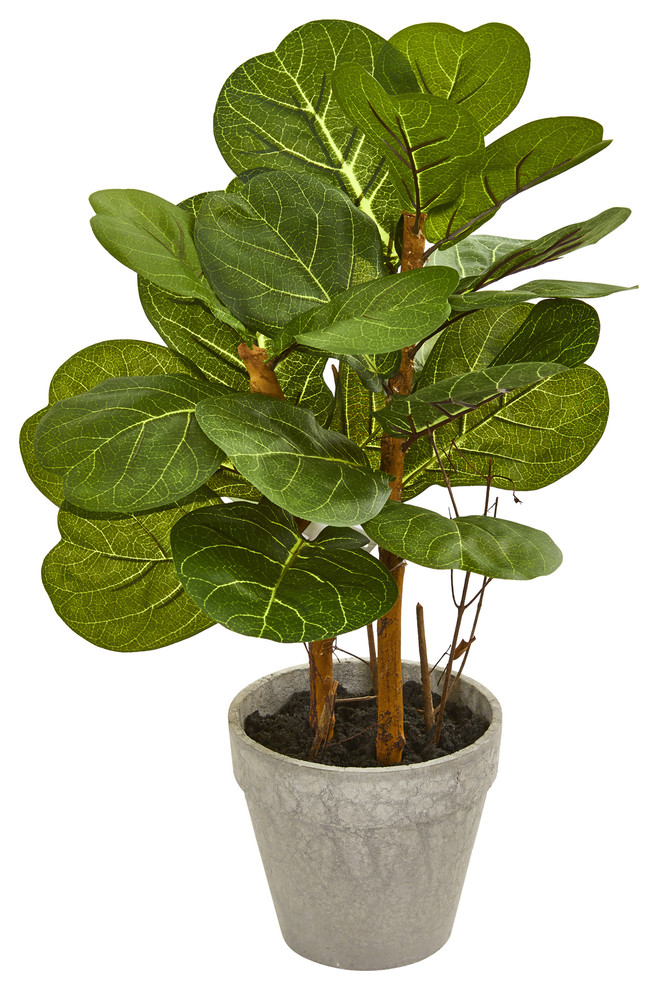 22" Fiddle Leaf Artificial Plant Transitional Artificial Plants And