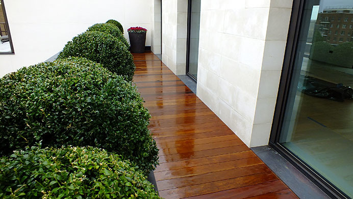 Photo of a contemporary rooftop garden in London with decking.