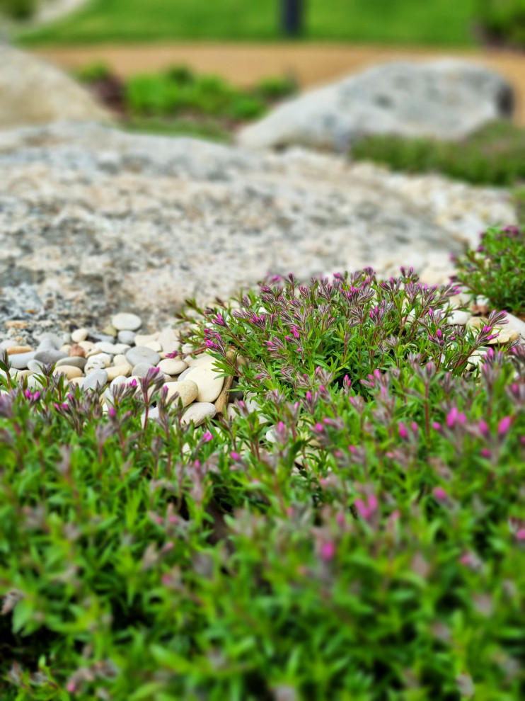 Миллениум парк 2024