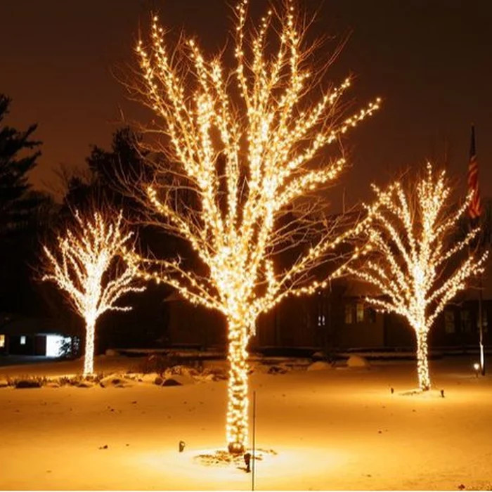 Illuminated Maple Trees ready for Holiday Celebration by Peter Atkins and Associates