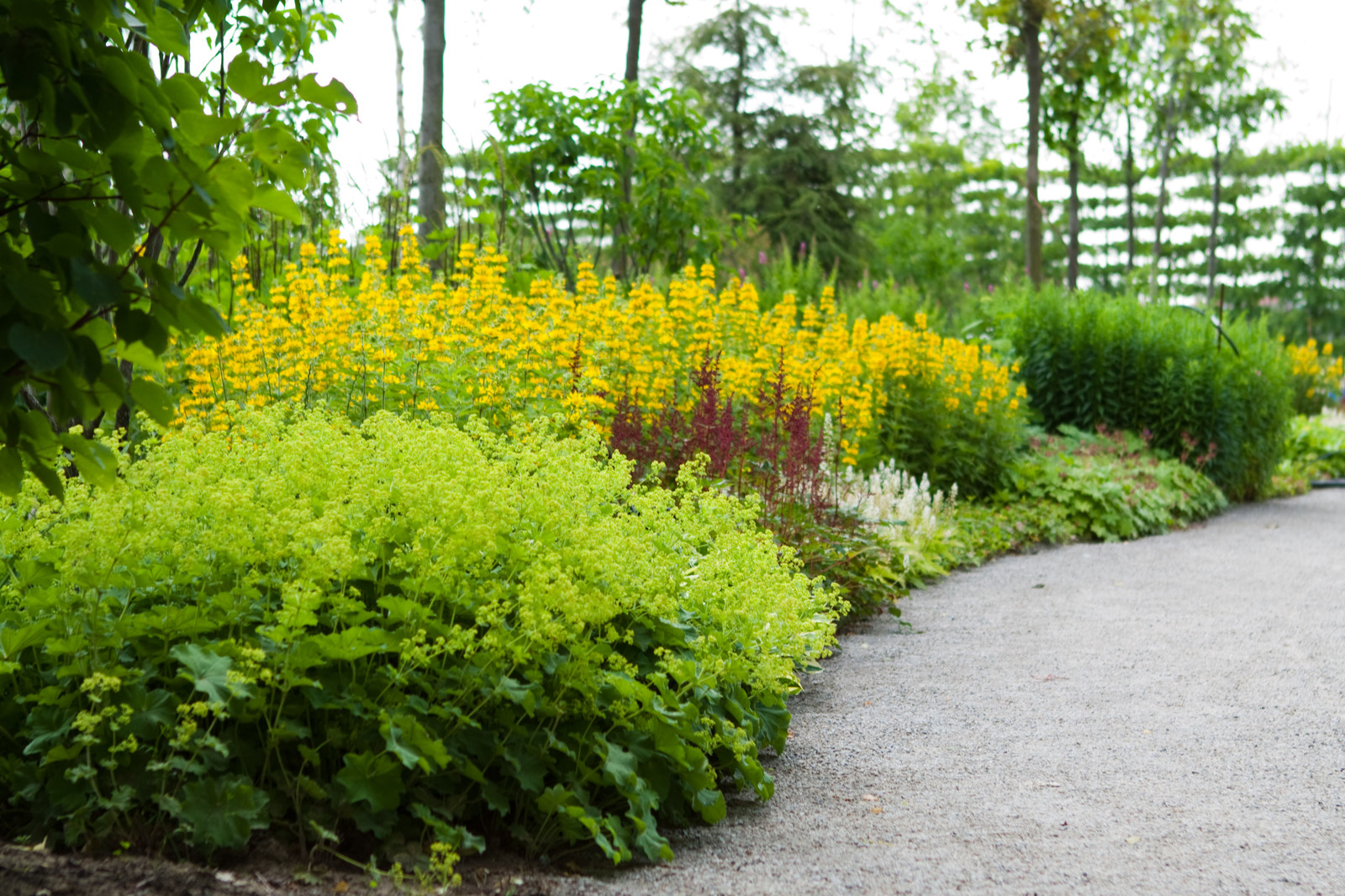 Маленькая Италия