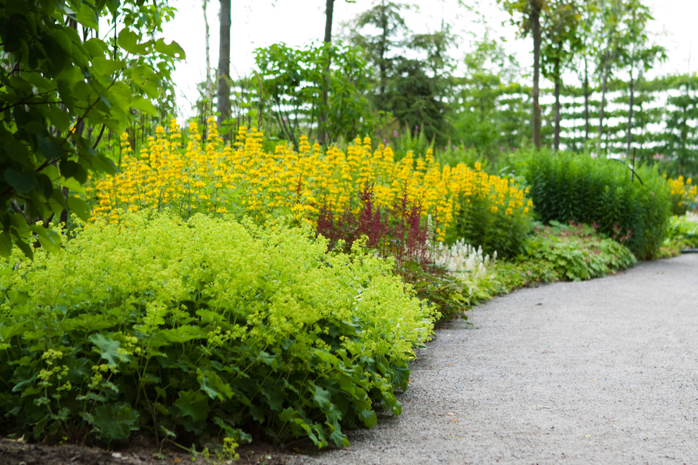 Маленькая Италия