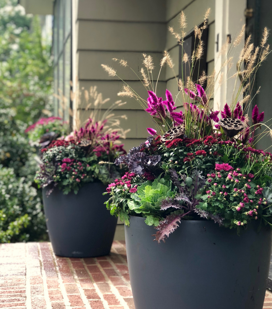 Inspiration for a landscaping in New York for fall.