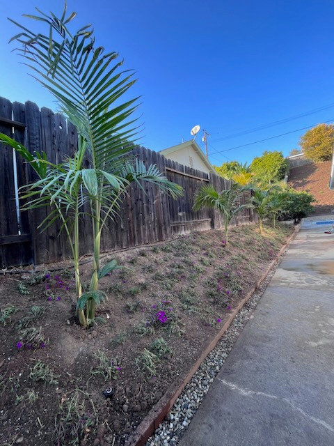 Backyard Renovation