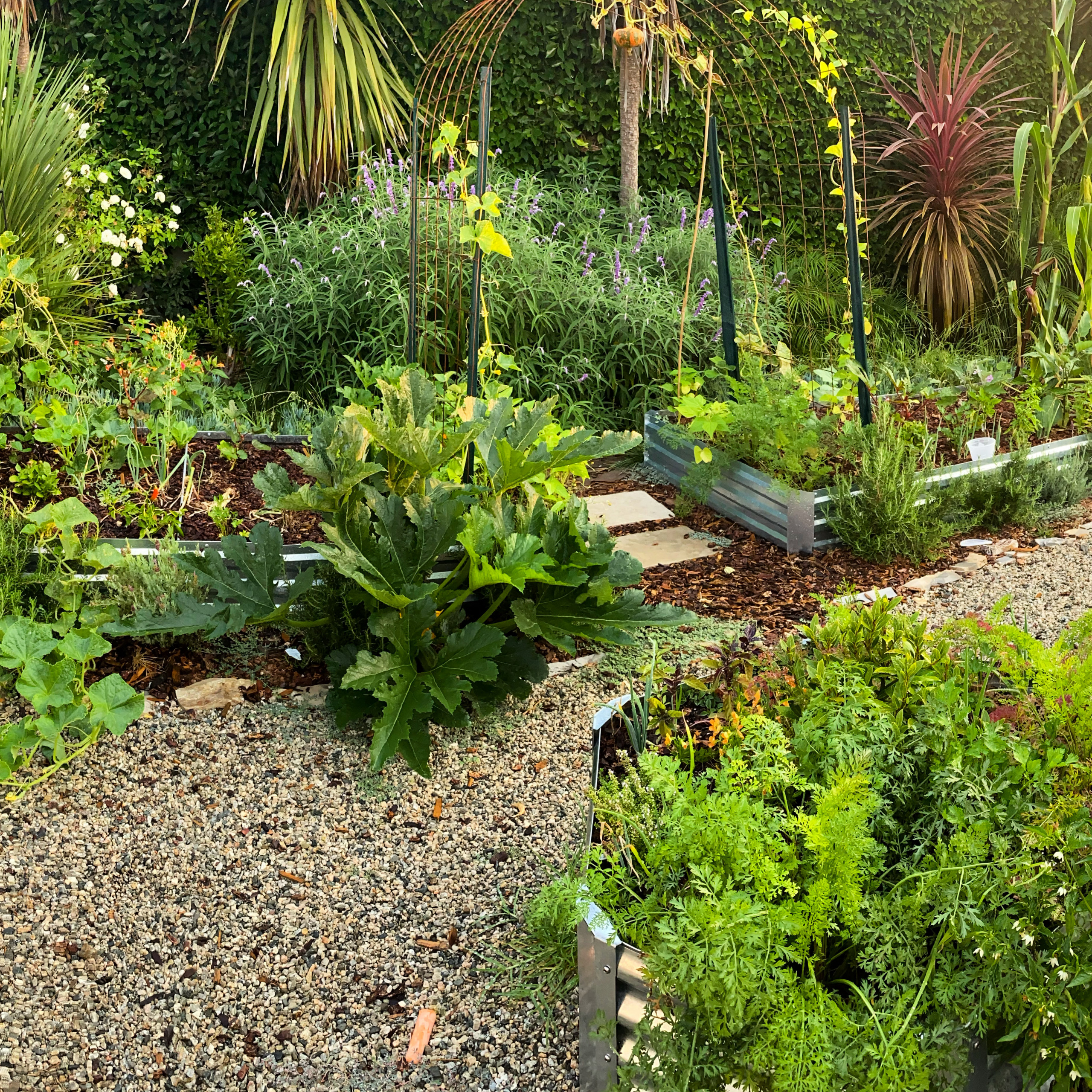 Rustic Kitchen Garden