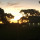 webuser_19241000