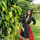 Last commented by Neha Dixit