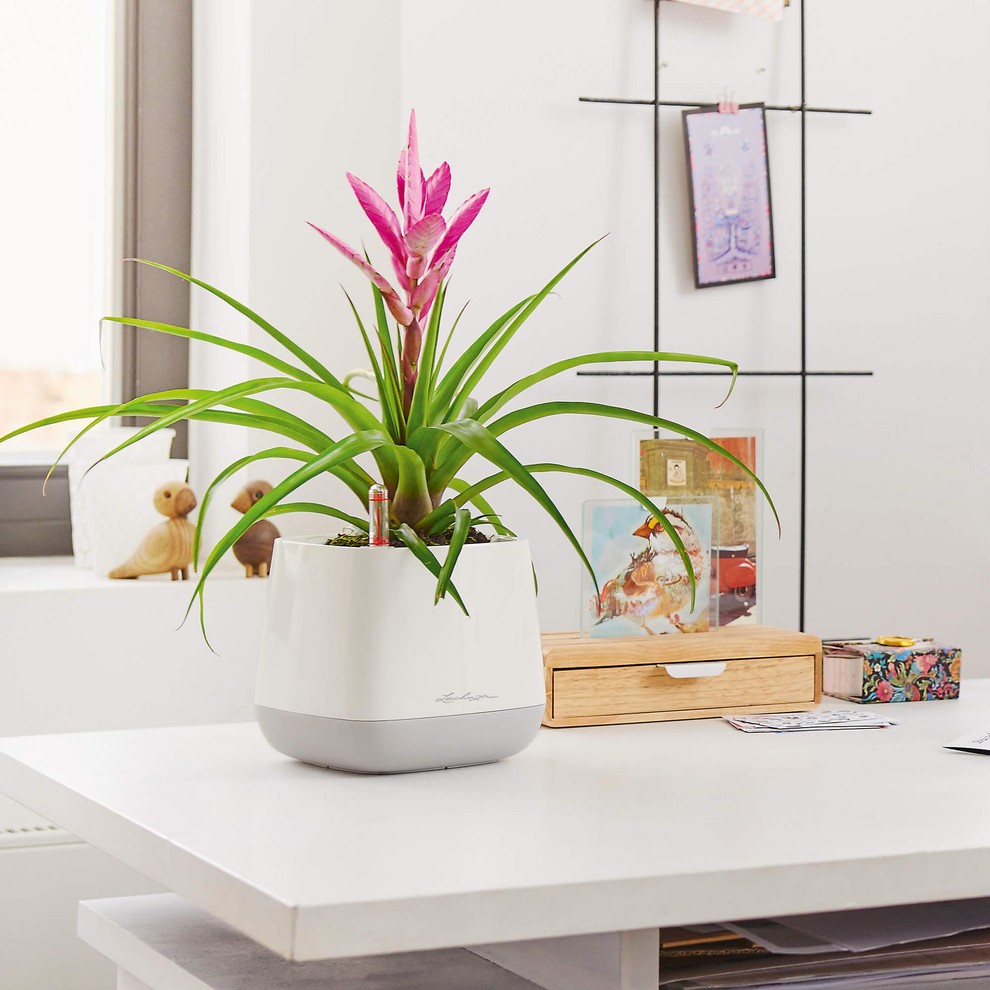 Насладитесь моментом