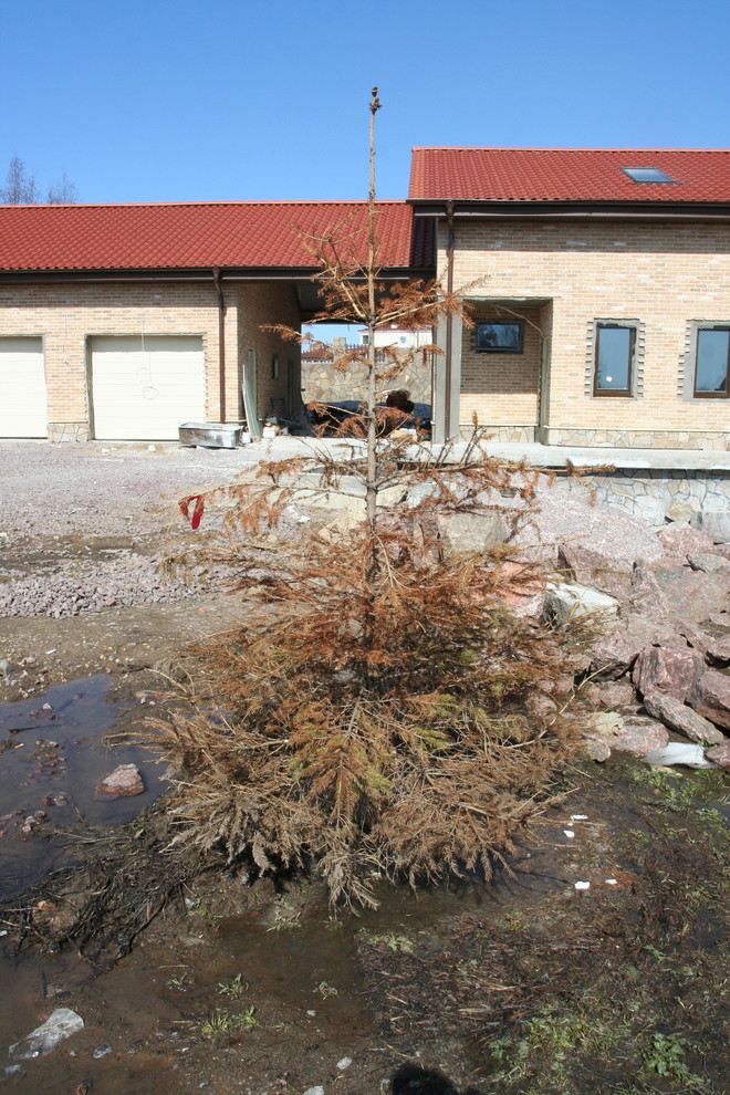 Репинские Усадьбы