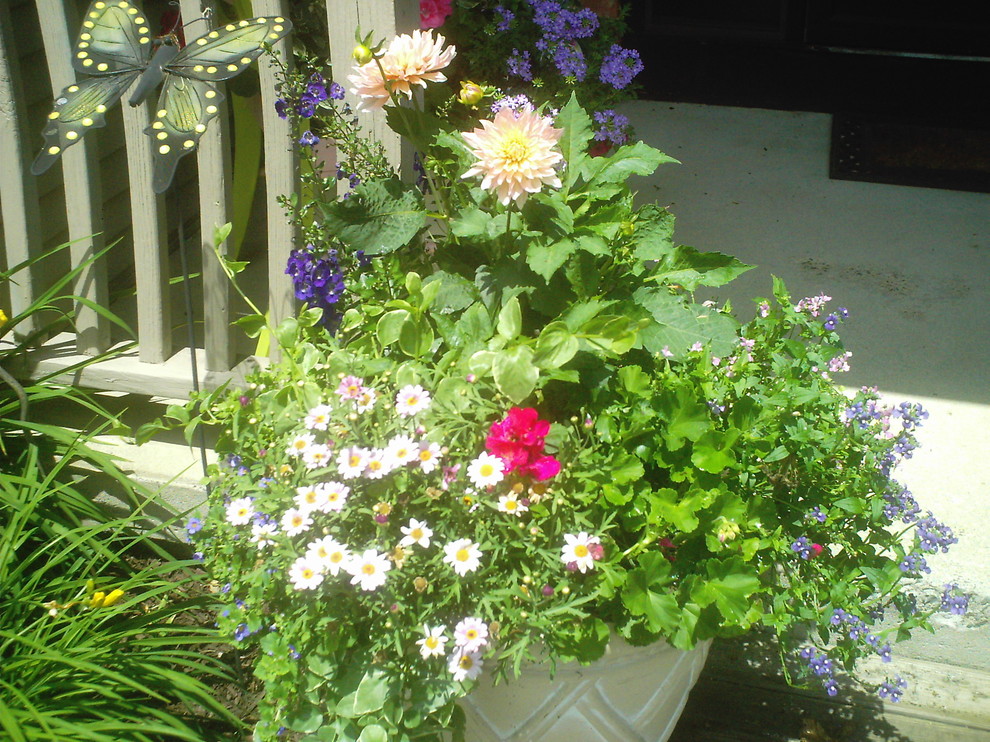 This is an example of a small country front yard verandah in Other with a container garden.