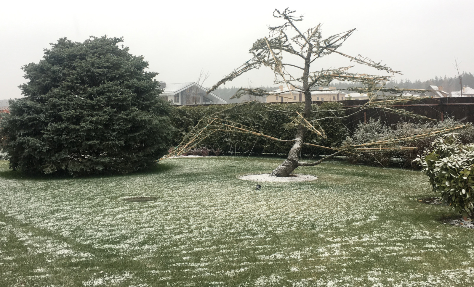 КП Снегири "Сад в пейзажном стиле" 50 соток