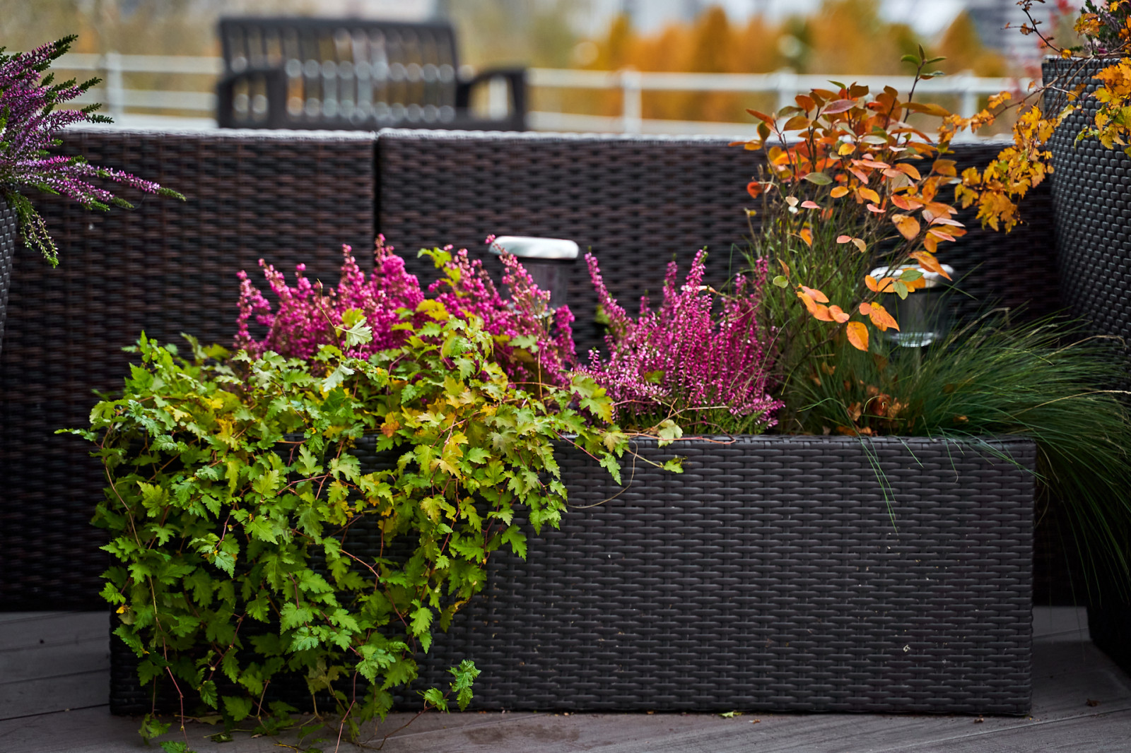 Озеленение террас