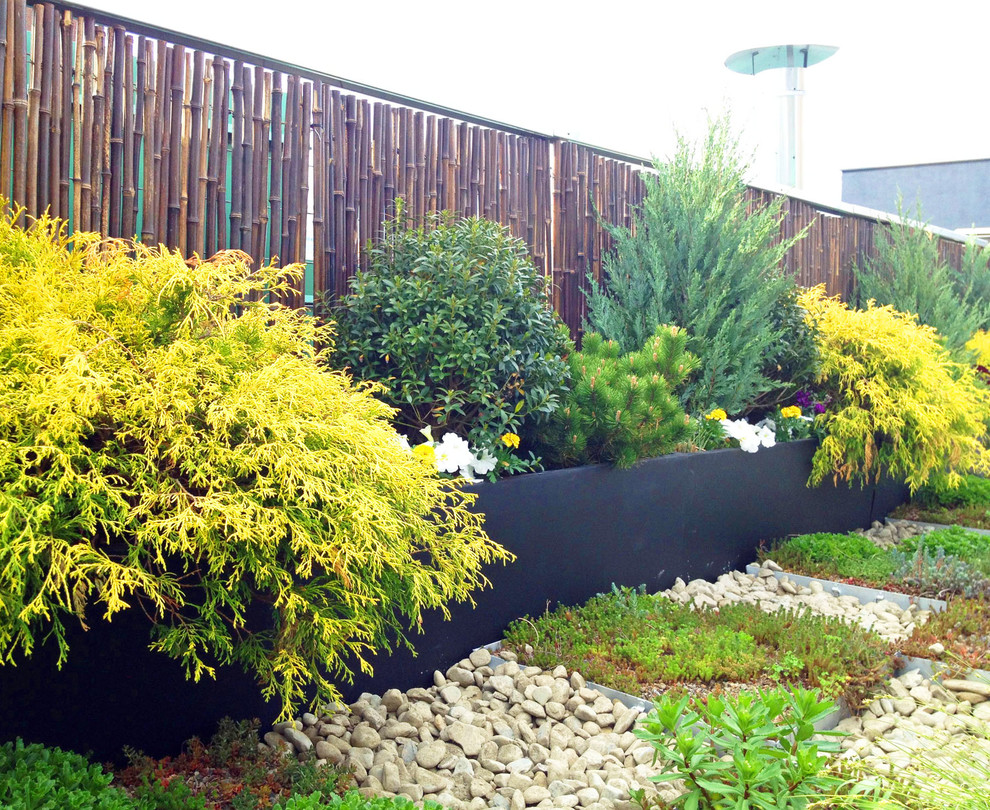 Immagine di una terrazza contemporanea sul tetto con un giardino in vaso
