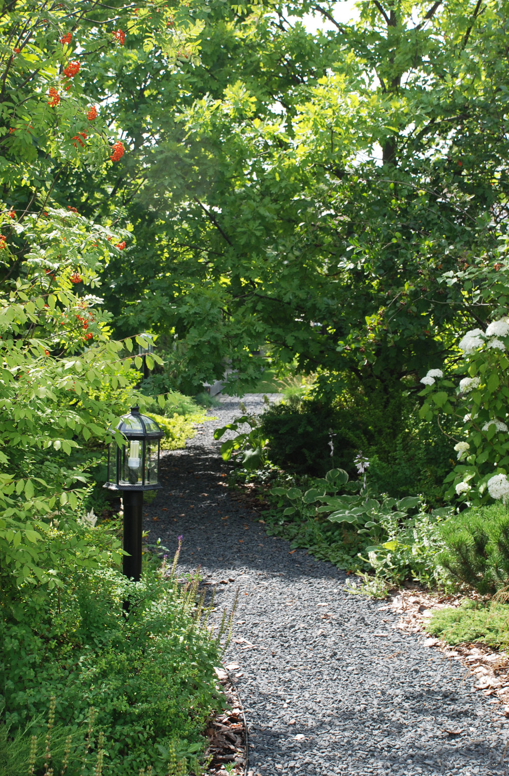 Променад. Киевское шоссе.