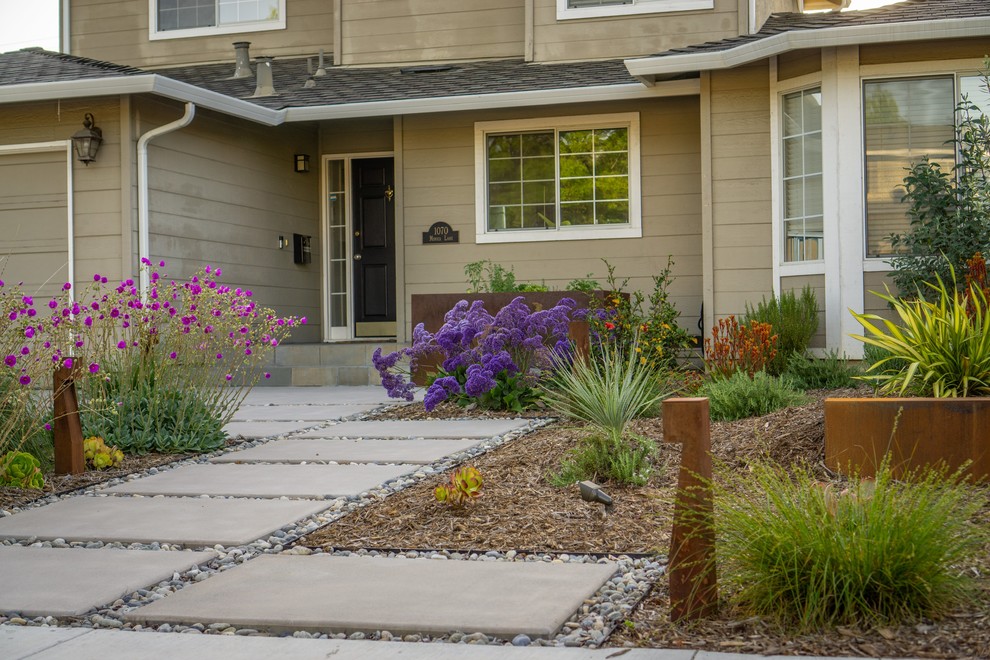 Inspiration for a mid-sized modern front yard xeriscape in San Francisco with a container garden and concrete pavers.