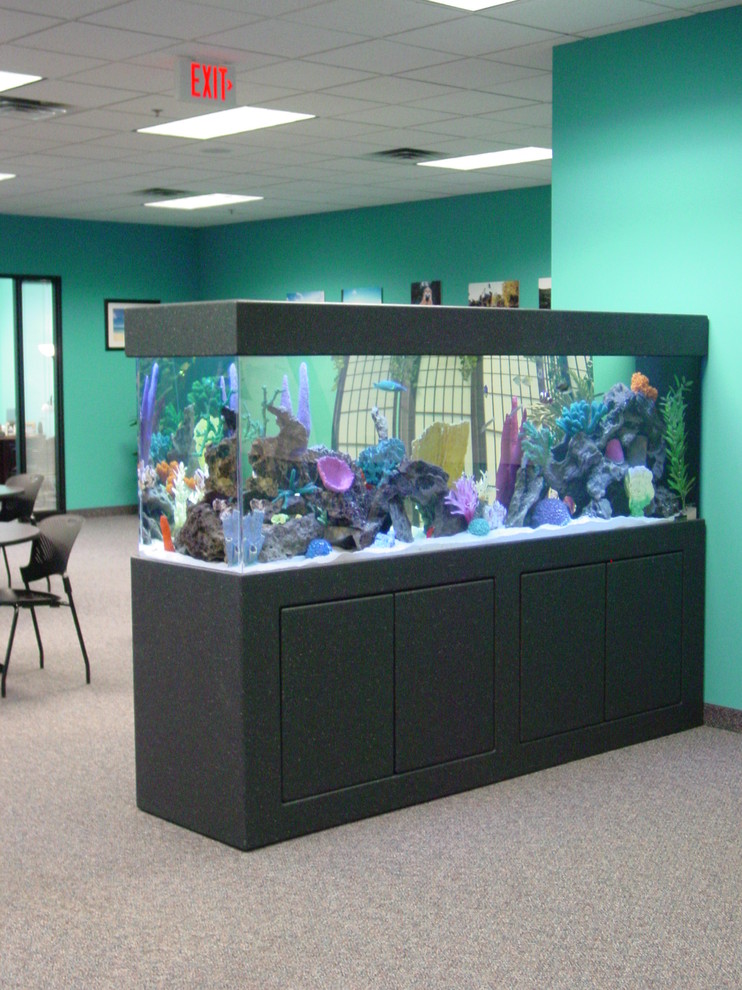 Free Standing Aquariums Minneapolis by Premier Aquarium Service