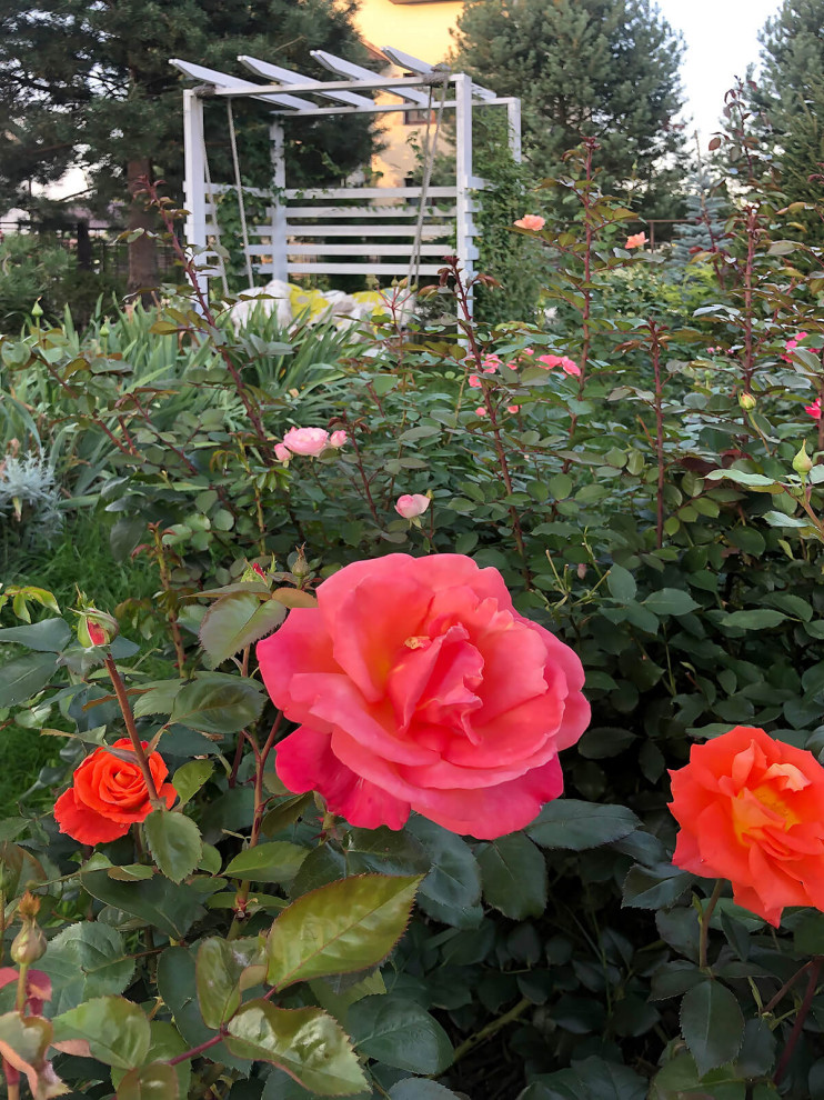 Деревянные качели