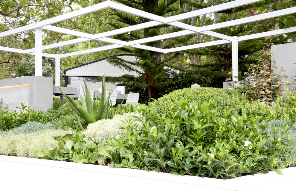 Inspiration for a modern garden in Melbourne.