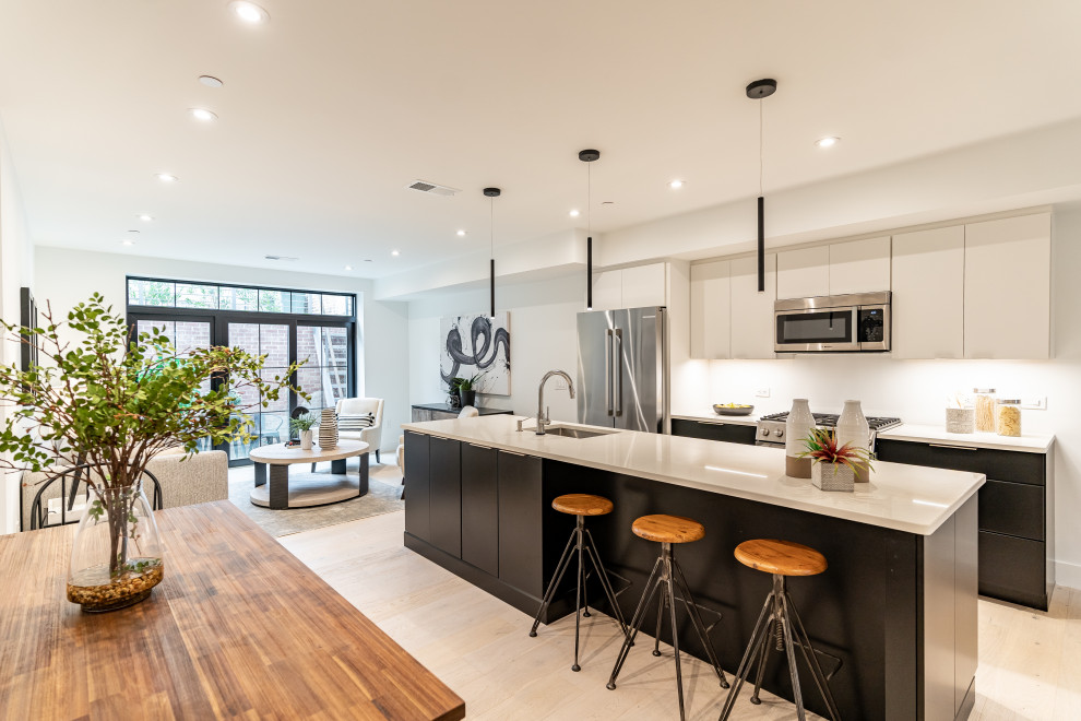 Southwest DC Duplex Renovation