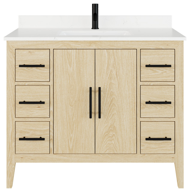 Vienna 42" Single Vanity With With Power Bar and Drawer Organizer Transitional Bathroom