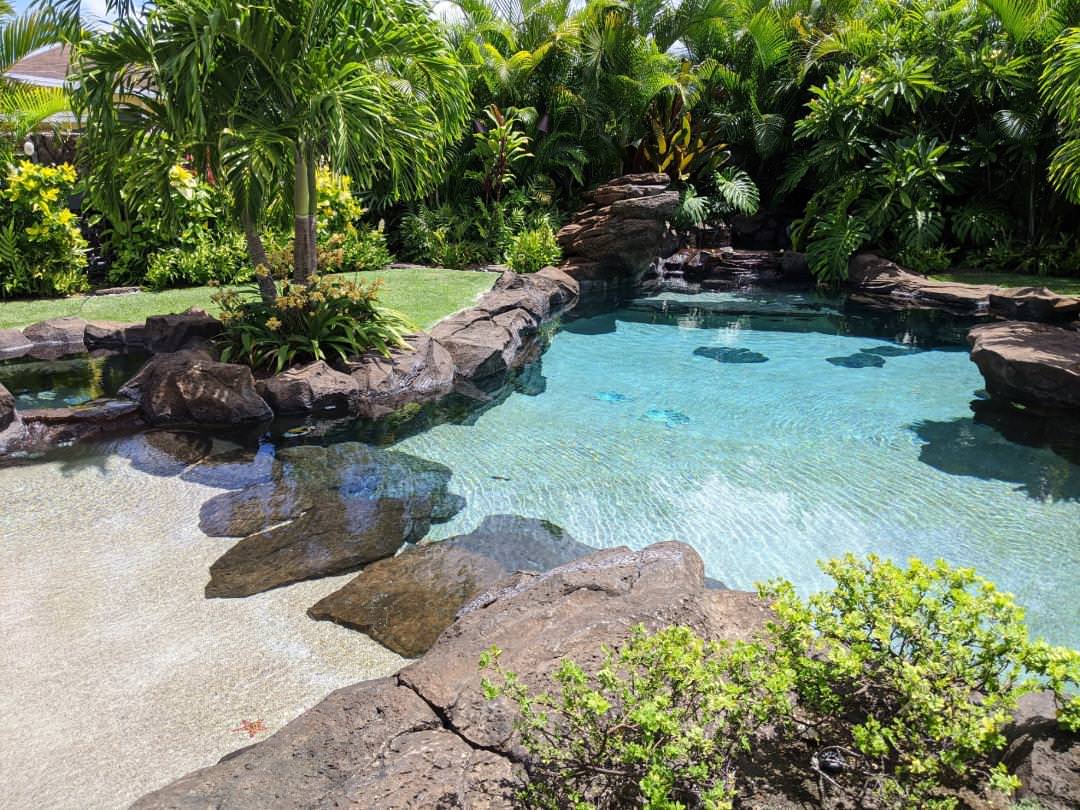 Island style pool photo in Hawaii