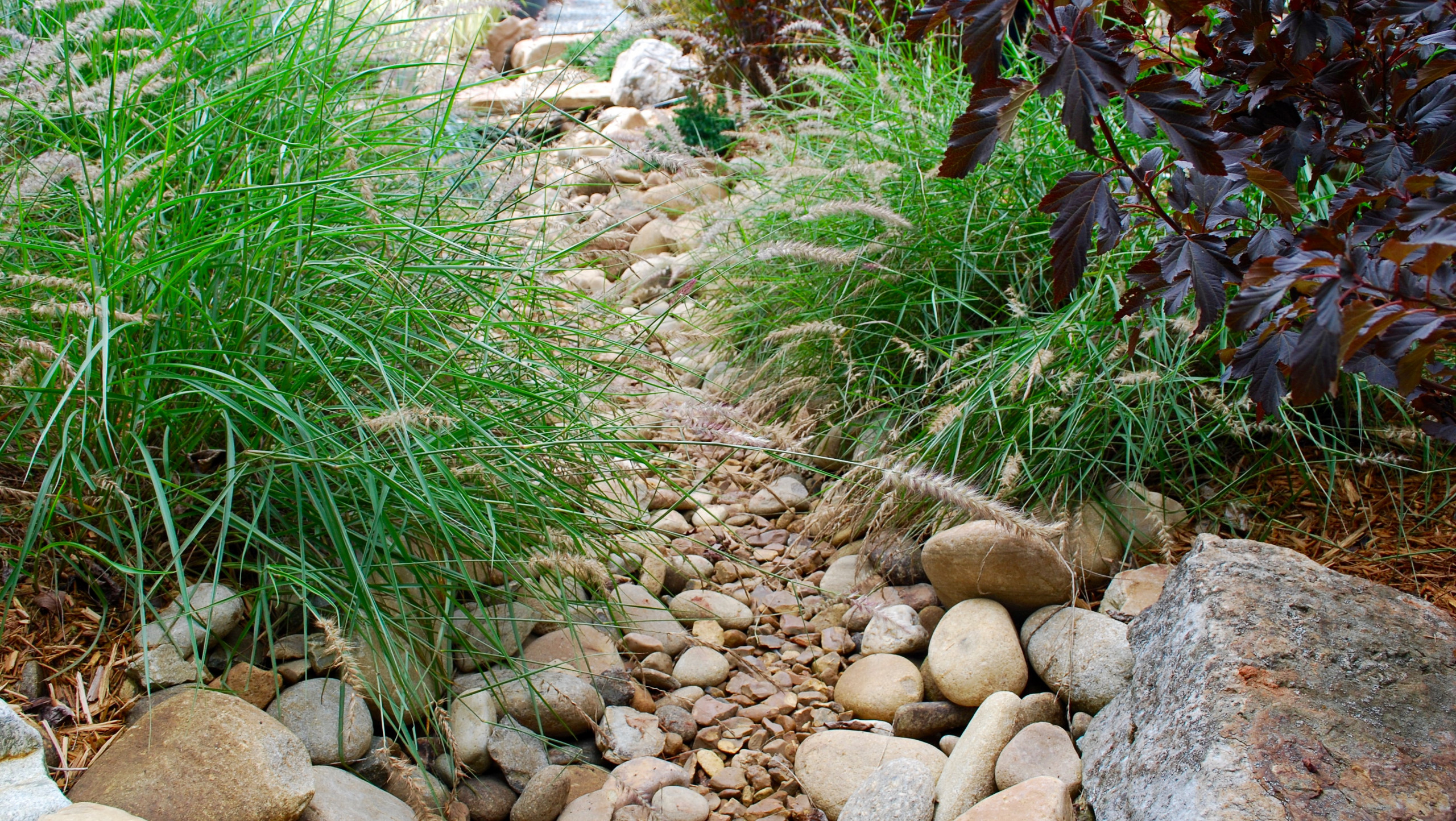 Dry creek bed close-up