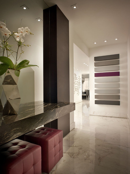 Contemporary Hall Miami PepeCalderinDesign - Miami modern - interior designers - Hollywood penthouse contemporary-hall