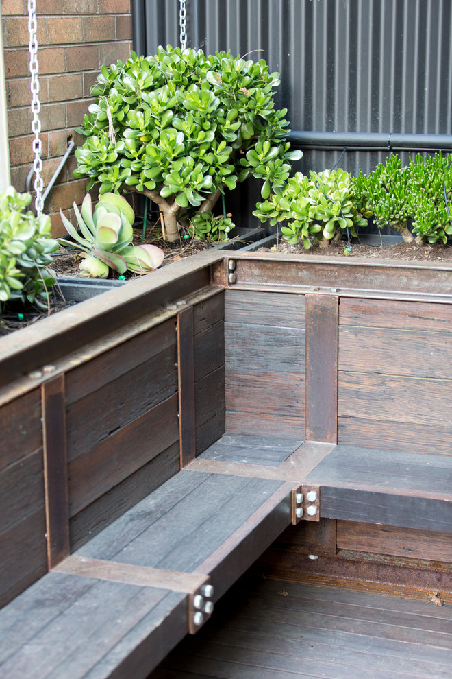 Small industrial courtyard patio in Sydney with a container garden, decking and a pergola.