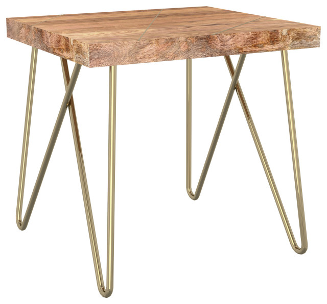 Madox Contemporary Solid Wood/Iron Accent Table in Natural/Aged Gold