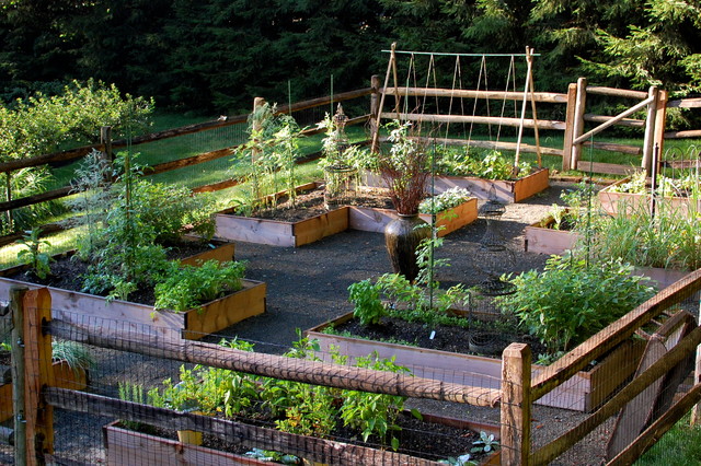 Raised Bed Vegetable Garden american-traditional-garden