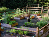 Traditional Landscape by Earth Mama Landscape Design