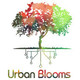 Urban Blooms