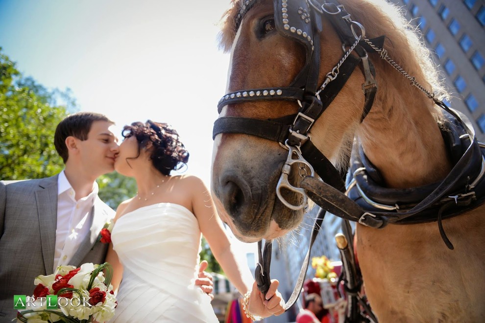 Wedding Photographer