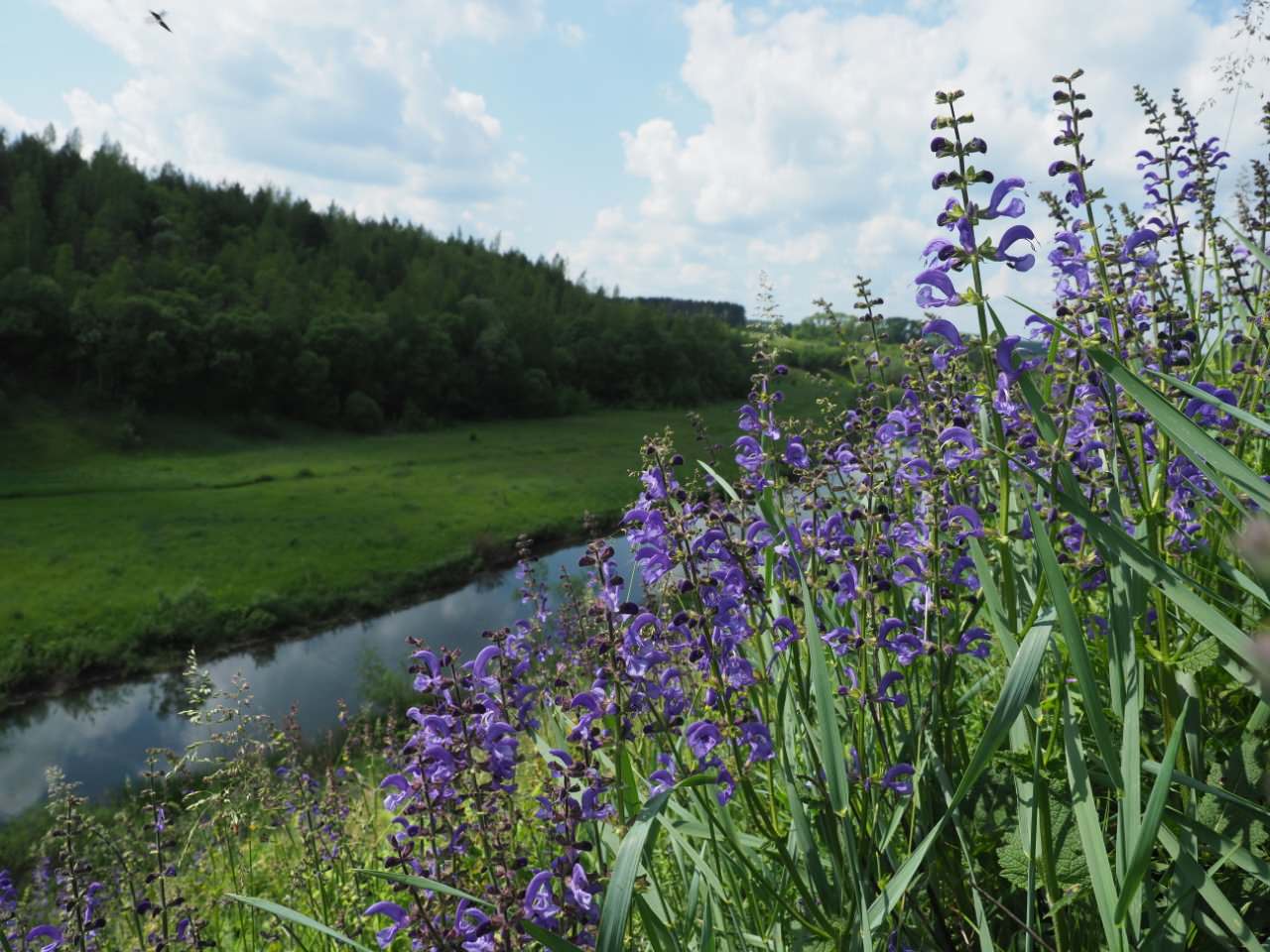 Участок 10 га на склоне с лугом и лесом