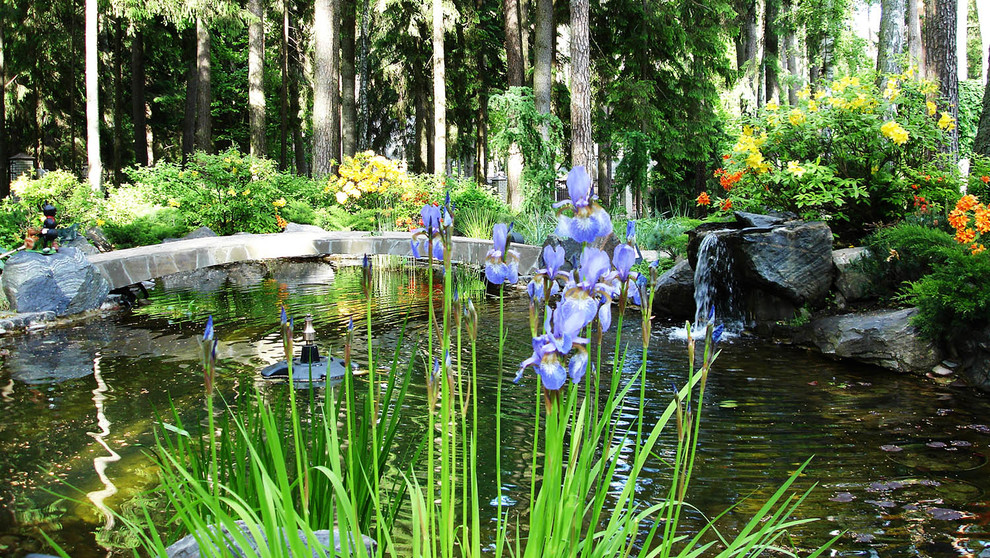Сад с водоемом в КП " Сосновый Бор"