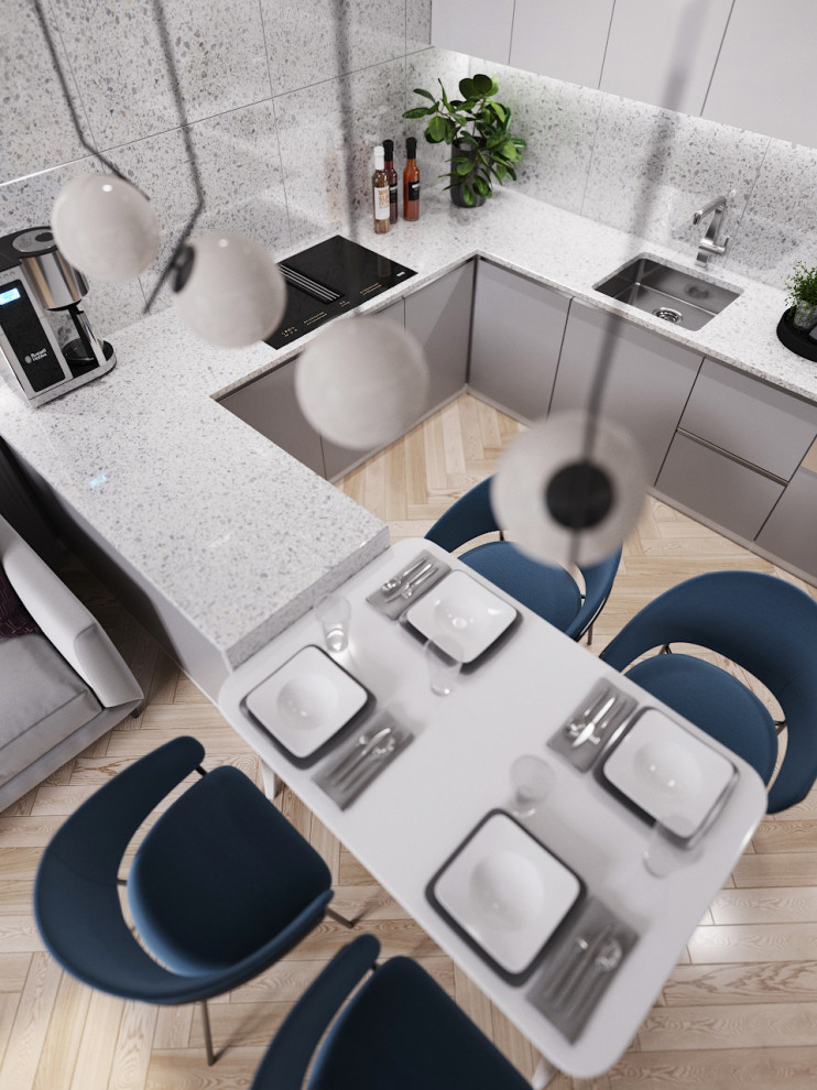 Проект квартиры в Москве