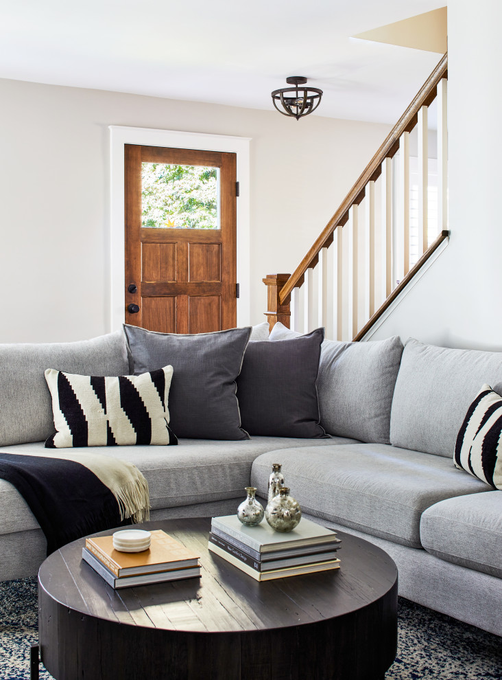 Views Living Room DC Metro by TriVistaUSA Design + Build Houzz