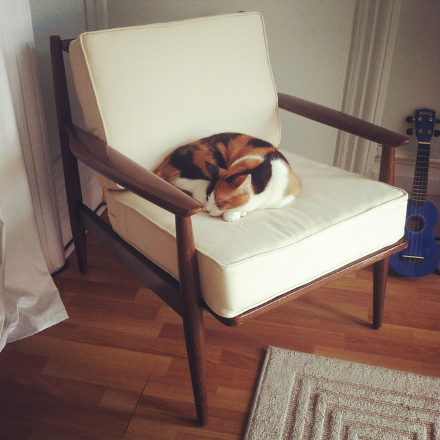 Updated Midcentury Modern Chair Cushion Midcentury Living Room