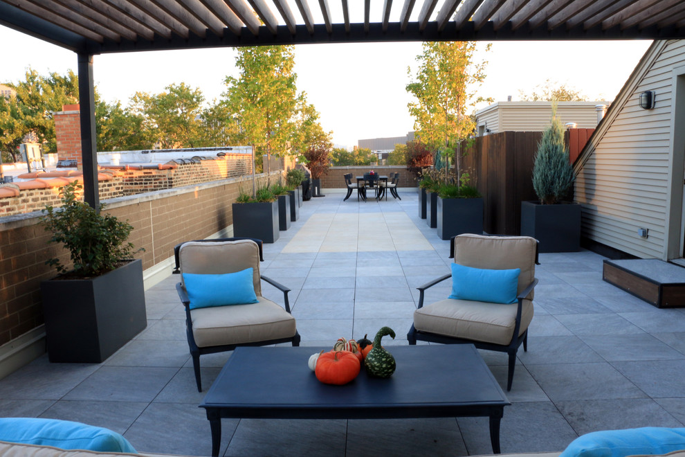 Photo of a large contemporary rooftop deck in Chicago with a container garden and a pergola.