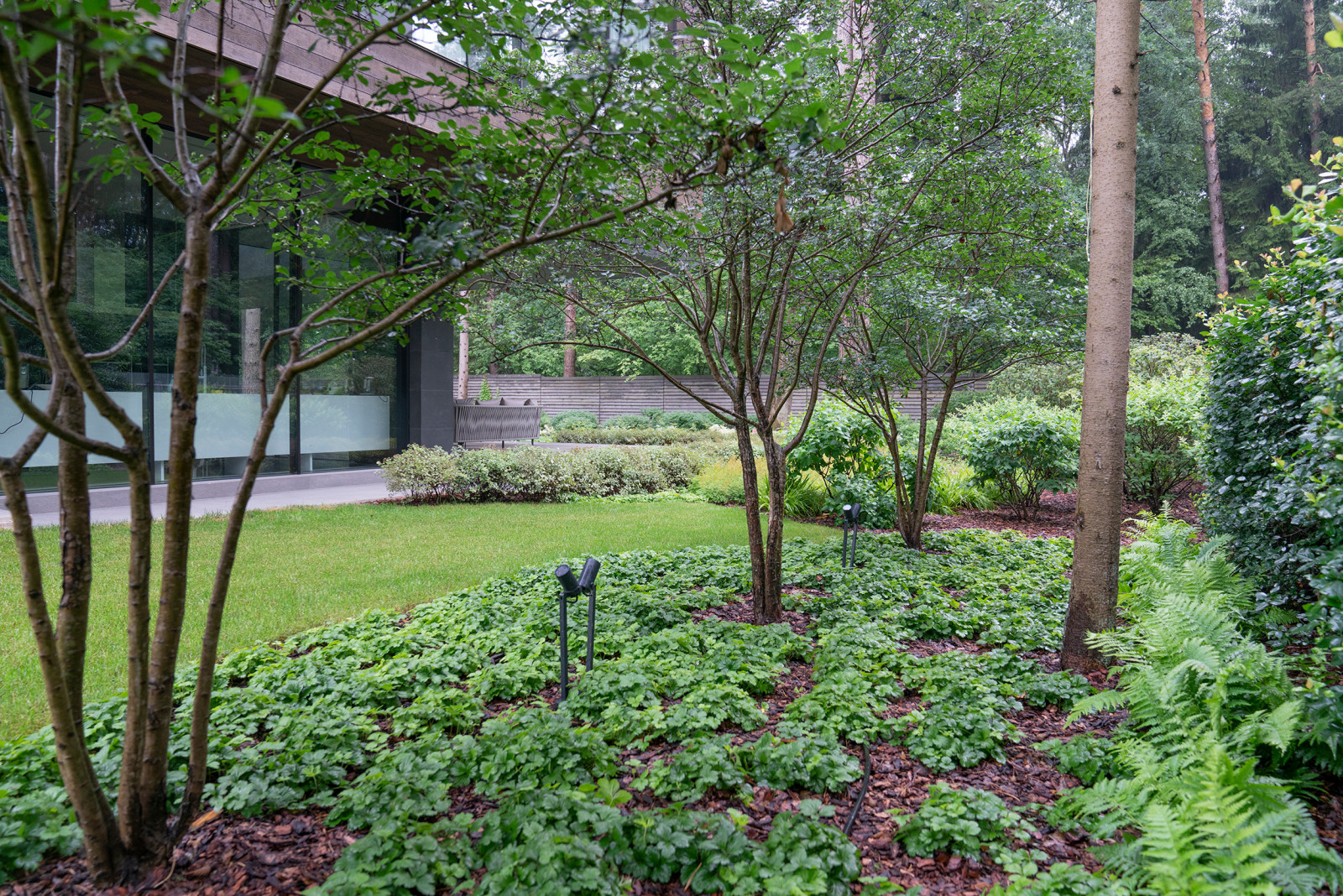 В гармонии с лесом. Модернистский сад. КП Новоуспенский 2020 г