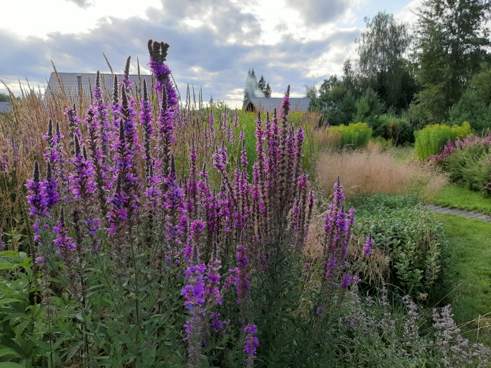 Сад "Три плюс два"