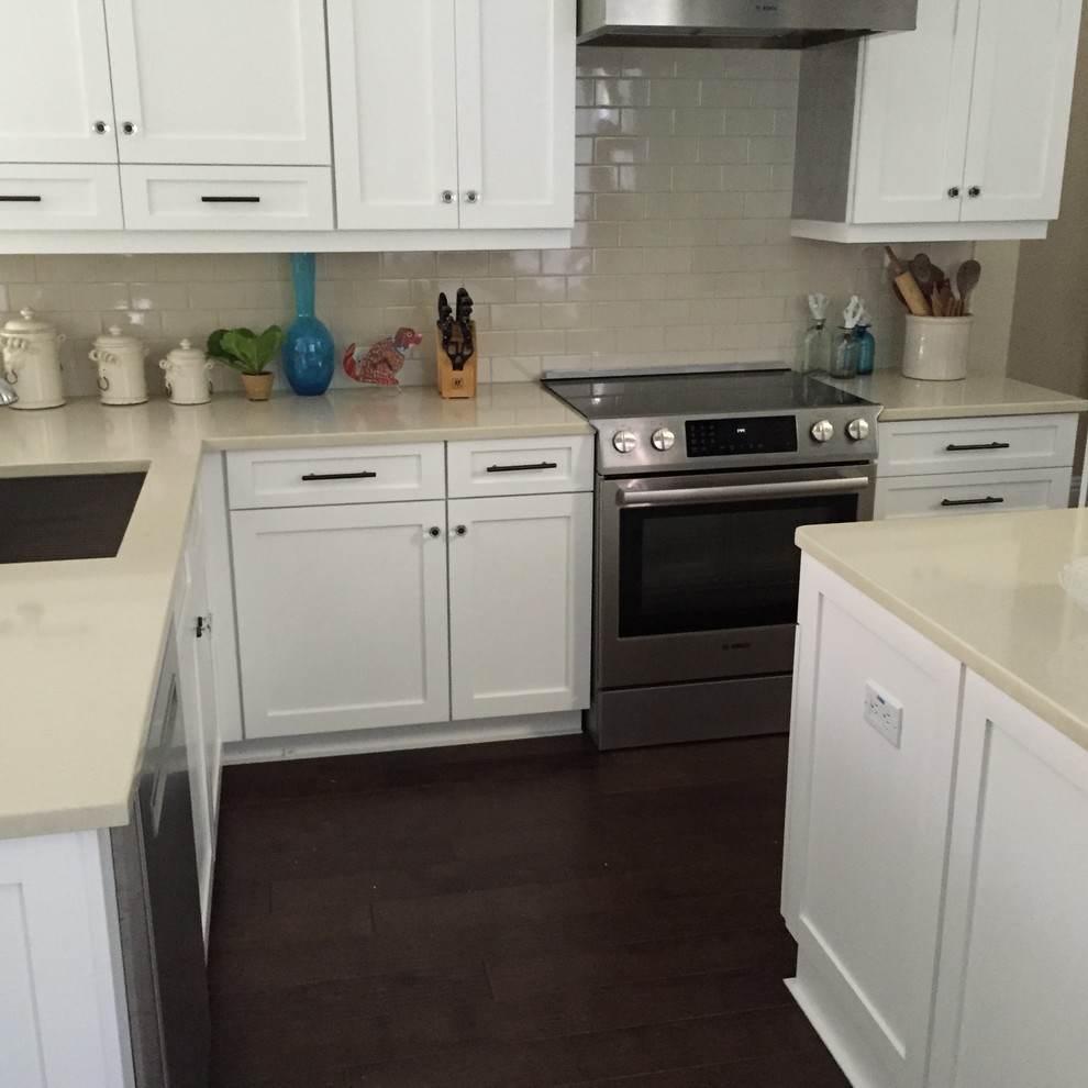 Home design - transitional home design idea in Miami