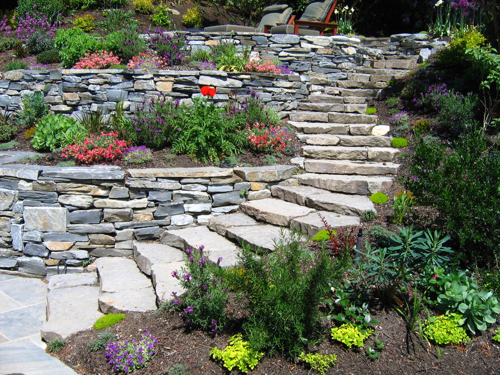 This is an example of a contemporary sloped garden in Seattle with a retaining wall.