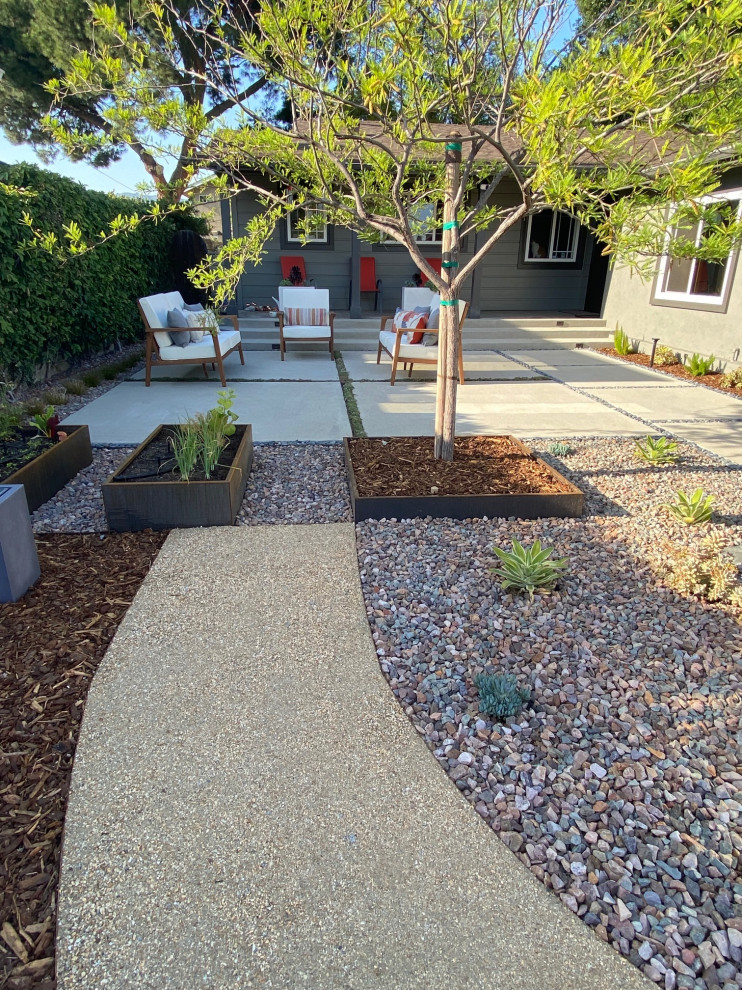 Idee per un giardino xeriscape minimalista esposto in pieno sole di medie dimensioni e in cortile in primavera con un ingresso o sentiero, ghiaia e recinzione in legno